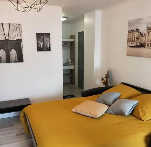 Апартаменты Mega Jeanne D'arc Billard Baby Foot En Option Escape Game Insolites Нанси