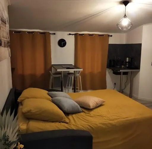 Апартаменты Mega Jeanne D'arc Billard Baby Foot En Option Escape Game Insolites *