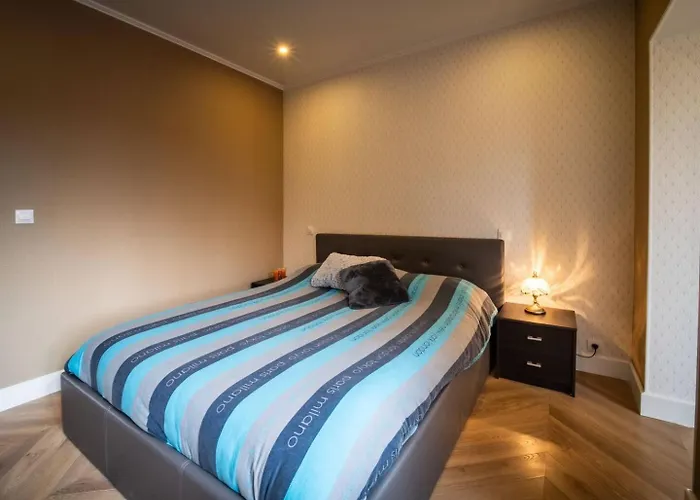 Mega Jeanne D'arc Billard Baby Foot En Option Escape Game Insolites 南锡