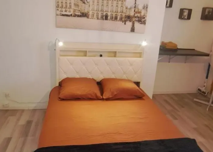 Mega Jeanne D'arc Billard Baby Foot En Option Escape Game Insolites Апартаменты Нанси